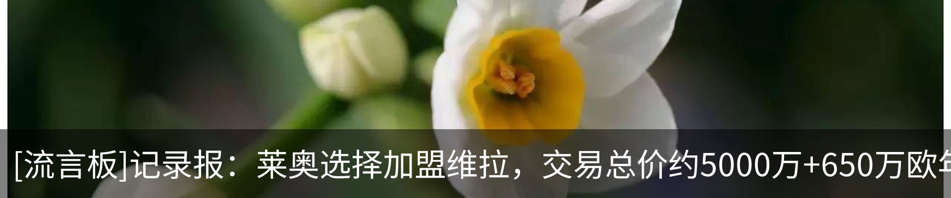 热点资讯